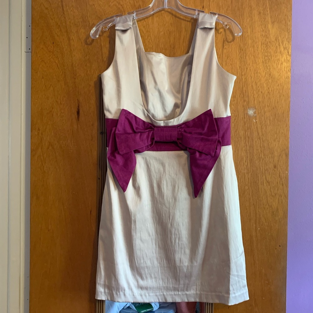 TCEC Champagne Mini Dress